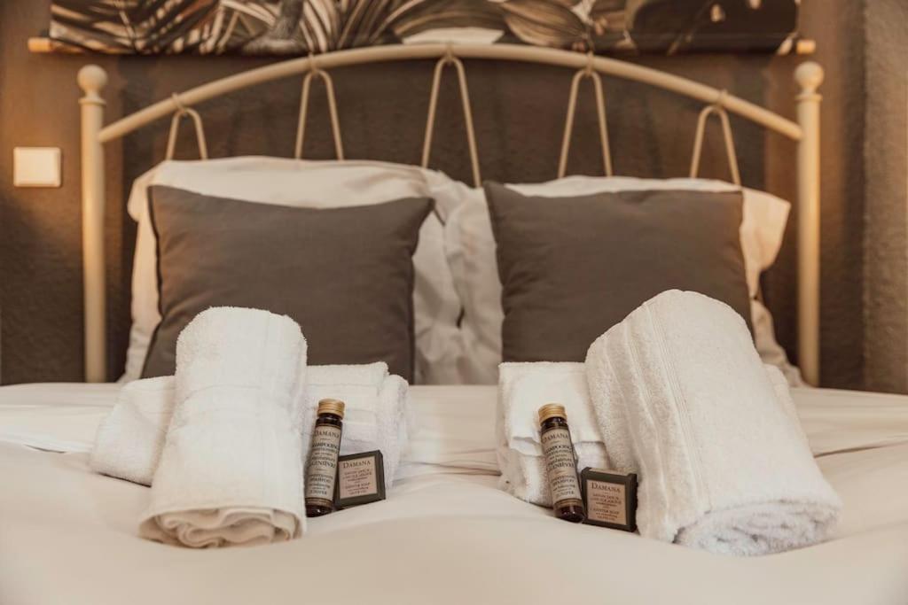 " Le Manoir Du Riouffe " Citycenter - Charme A La Francaise - Congres - Clim - Wifi 칸느 외부 사진